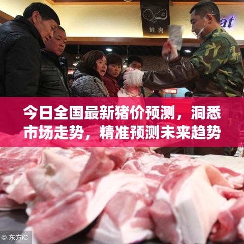 今日全國最新豬價(jià)預(yù)測(cè)，洞悉市場(chǎng)走勢(shì)，精準(zhǔn)預(yù)測(cè)未來趨勢(shì)