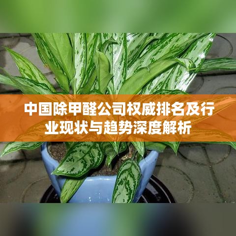 南轅北轍