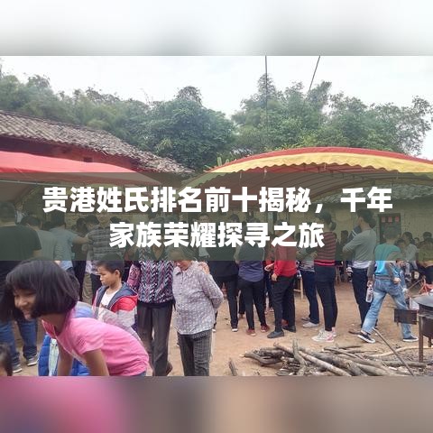 駕輕就熟