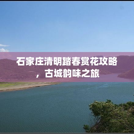 空谷幽蘭