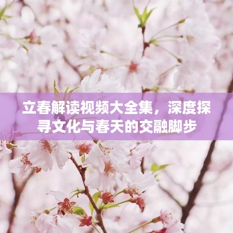 神采奕奕