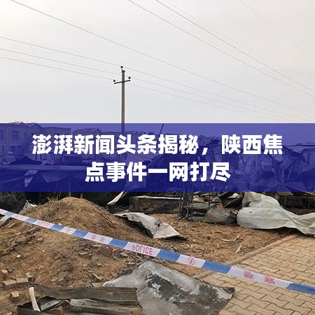 草間求活