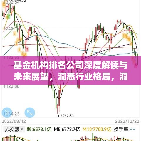 基金機(jī)構(gòu)排名公司深度解讀與未來(lái)展望，洞悉行業(yè)格局，洞悉排名背后的秘密