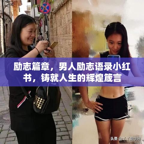 朝飛暮卷