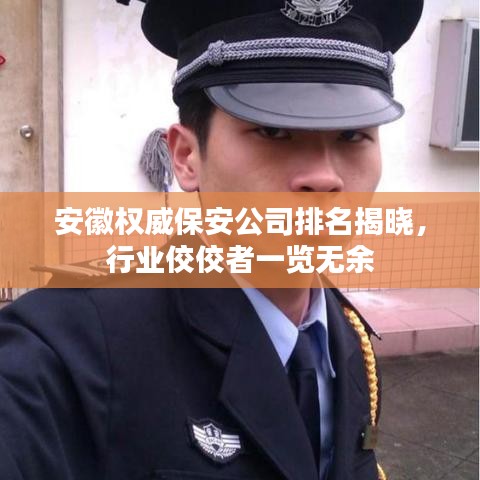 安徽權(quán)威保安公司排名揭曉，行業(yè)佼佼者一覽無(wú)余