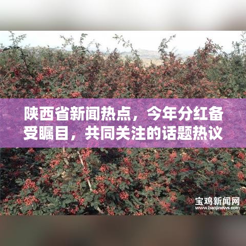 陜西省新聞熱點(diǎn)，今年分紅備受矚目，共同關(guān)注的話題熱議不止