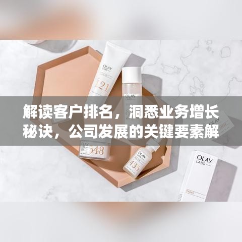 解讀客戶排名，洞悉業(yè)務(wù)增長秘訣，公司發(fā)展的關(guān)鍵要素解析