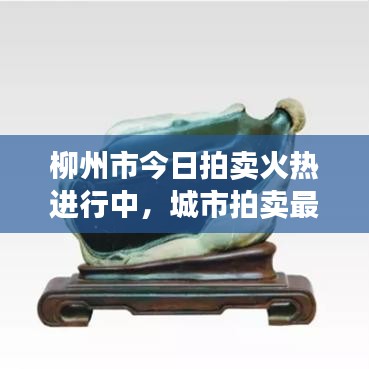 鳥(niǎo)吏鱉官