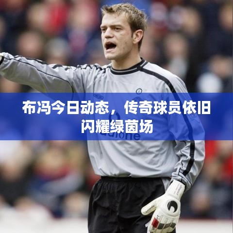 金石為開