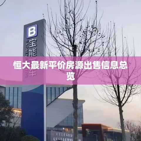 恒大最新平價房源出售信息總覽