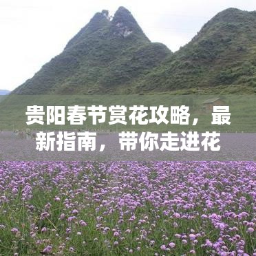 2025年5月24日 第7頁