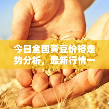 不知不覺