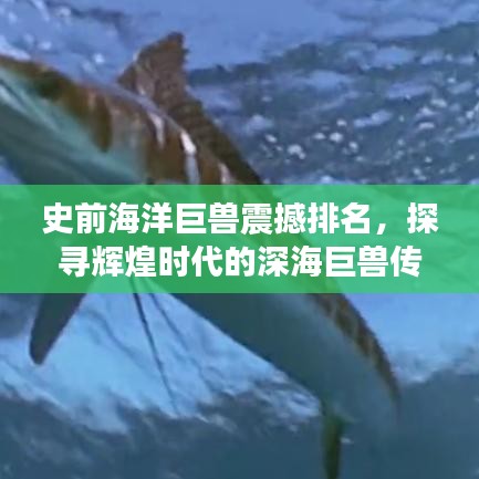史前海洋巨獸震撼排名，探尋輝煌時(shí)代的深海巨獸傳奇