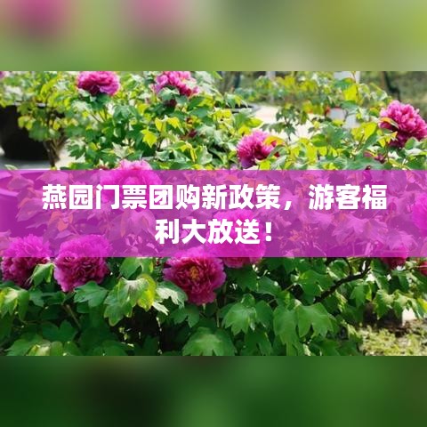 燕園門票團(tuán)購(gòu)新政策，游客福利大放送！