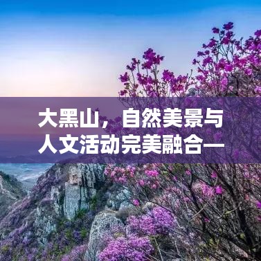 龍飛鳳舞