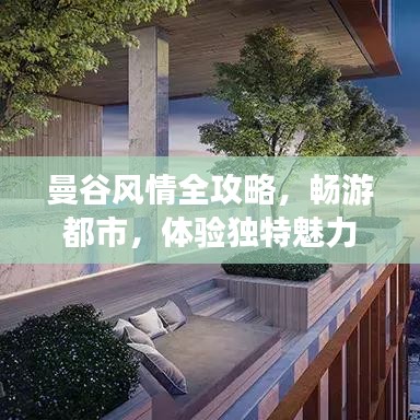 十年磨劍