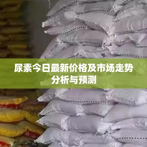 箭拔弩張