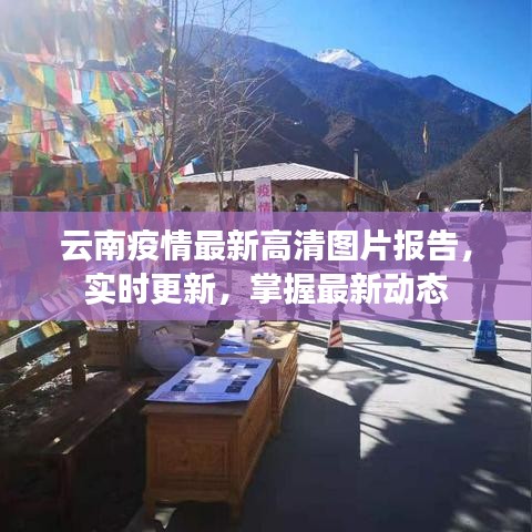 眉清目秀