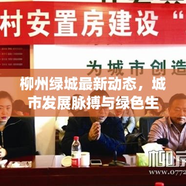 高不成低不就