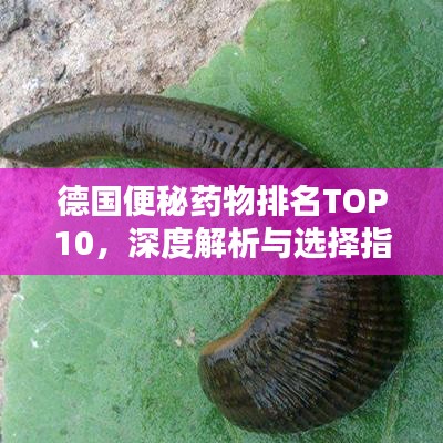 德國便秘藥物排名TOP10，深度解析與選擇指南