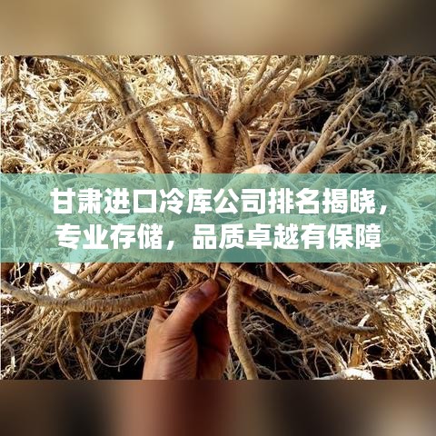 夜以繼日