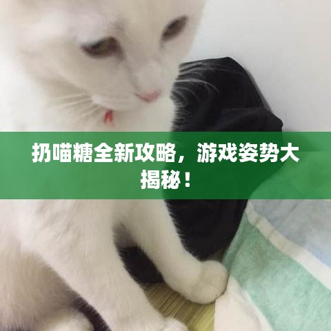 扔喵糖全新攻略，游戲姿勢(shì)大揭秘！