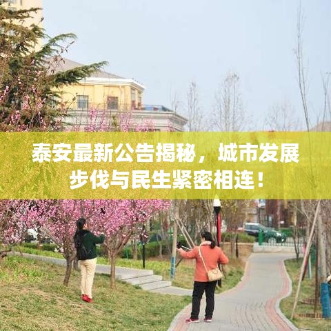 第13頁