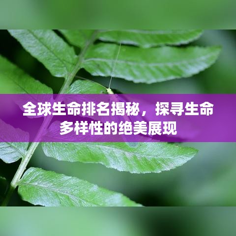 貴人善忘
