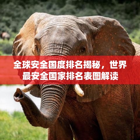 全球安全國度排名揭秘，世界最安全國家排名表圖解讀