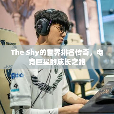 The Shy的世界排名傳奇，電競巨星的成長之路