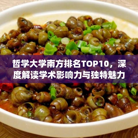 哲學大學南方排名TOP10，深度解讀學術影響力與獨特魅力