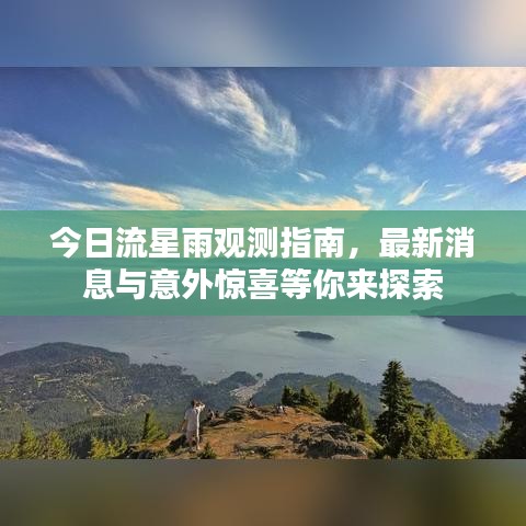 舉世無(wú)雙