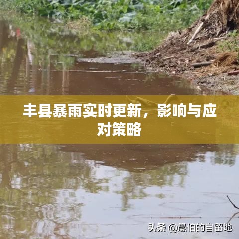 豐縣暴雨實時更新，影響與應對策略