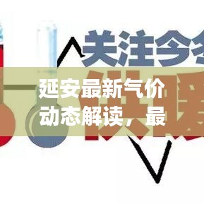 延安最新氣價動態(tài)解讀，最新消息及其影響分析