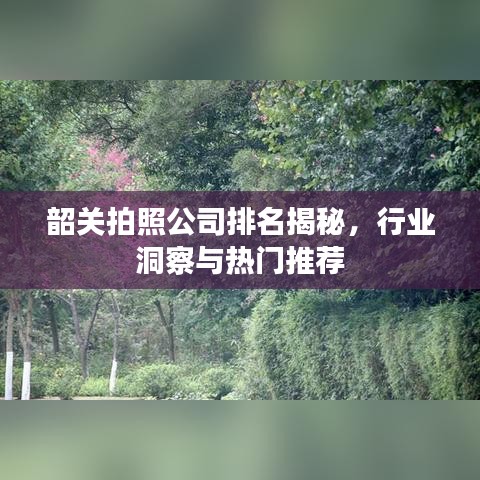 韶關(guān)拍照公司排名揭秘，行業(yè)洞察與熱門推薦
