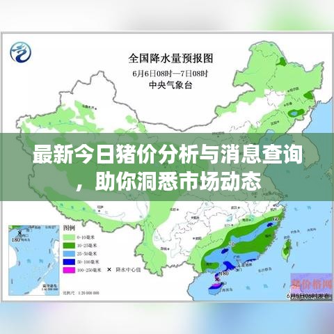最新今日豬價分析與消息查詢，助你洞悉市場動態(tài)