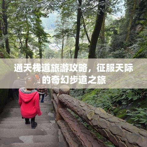 通天棧道旅游攻略，征服天際的奇幻步道之旅
