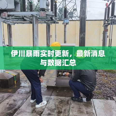 伊川暴雨實時更新，最新消息與數(shù)據(jù)匯總