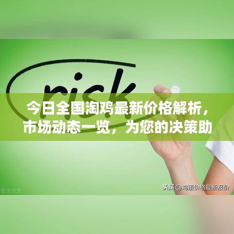 今日全國淘雞最新價格解析，市場動態(tài)一覽，為您的決策助力