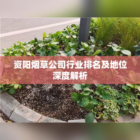 資陽(yáng)煙草公司行業(yè)排名及地位深度解析
