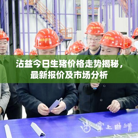 沾益今日生豬價(jià)格走勢(shì)揭秘，最新報(bào)價(jià)及市場(chǎng)分析