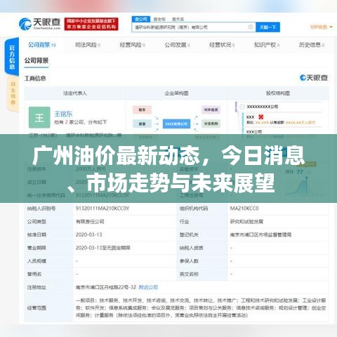 廣州油價最新動態(tài)，今日消息、市場走勢與未來展望