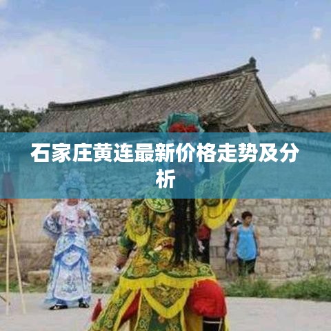 石家莊黃連最新價格走勢及分析