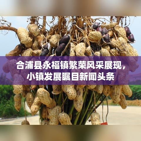第22頁
