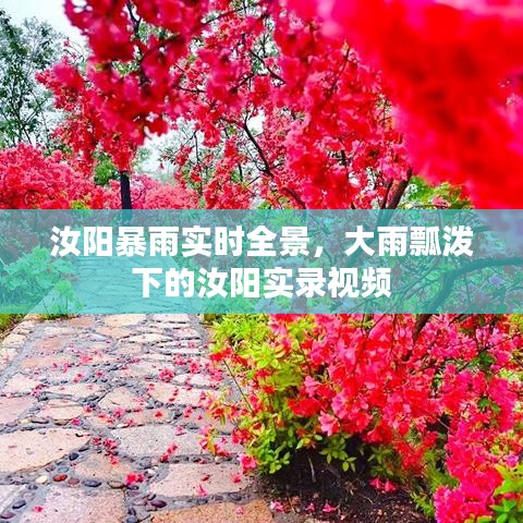 汝陽暴雨實(shí)時(shí)全景，大雨瓢潑下的汝陽實(shí)錄視頻