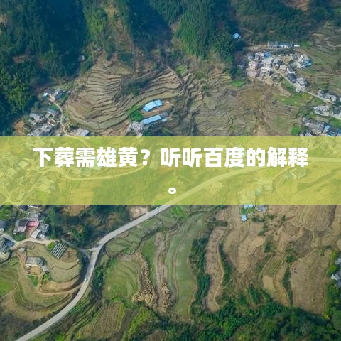 下葬需雄黃？聽聽百度的解釋。