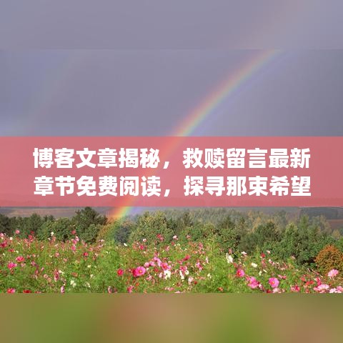 博客文章揭秘，救贖留言最新章節(jié)免費(fèi)閱讀，探尋那束希望之光