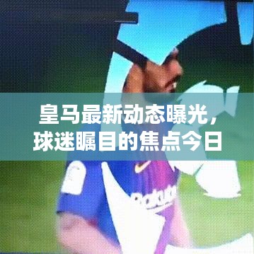 2025年5月27日 第4頁(yè)