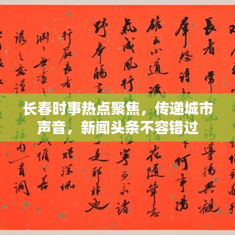長春時事熱點聚焦，傳遞城市聲音，新聞頭條不容錯過