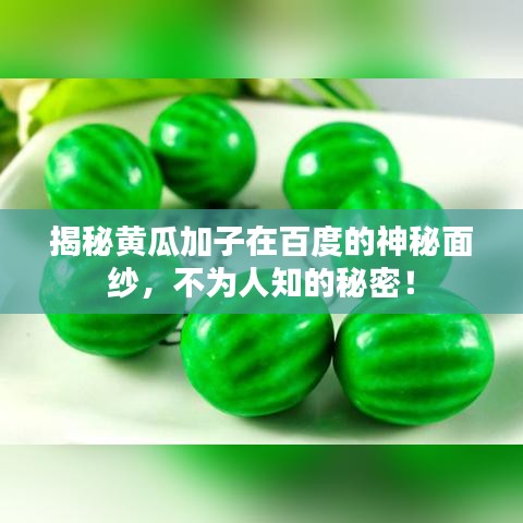 揭秘黃瓜加子在百度的神秘面紗，不為人知的秘密！